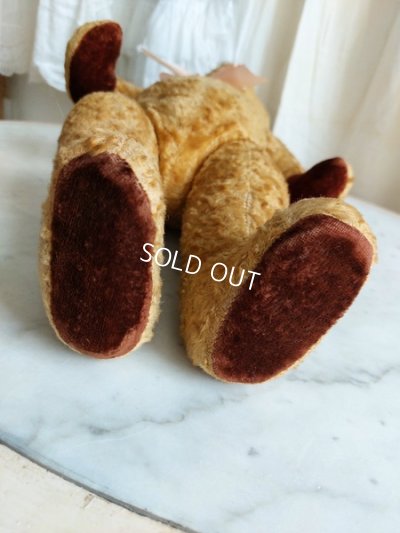 画像6: アンティークフレンチテディベア