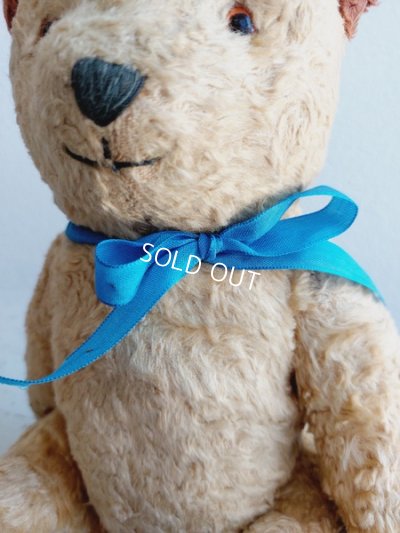 画像13: アンティークテディベア