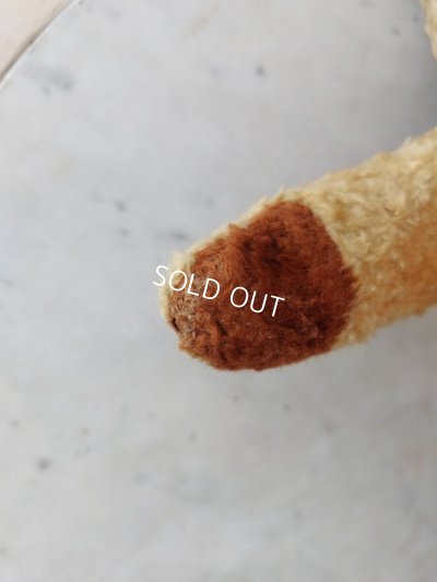 画像15: アンティークテディベア