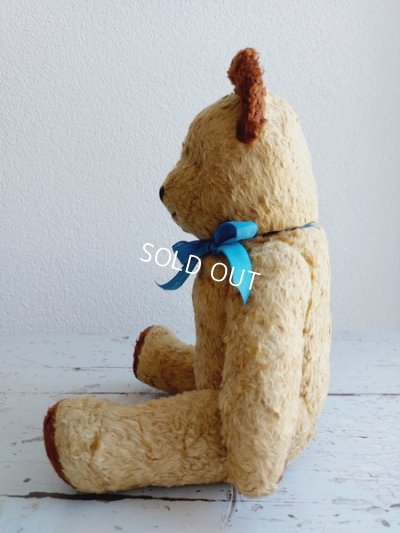 画像6: アンティークテディベア