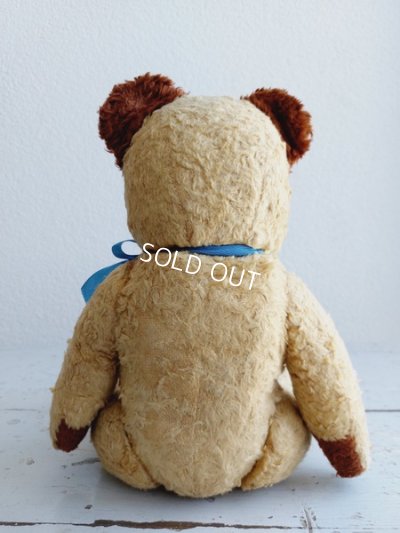 画像7: アンティークテディベア