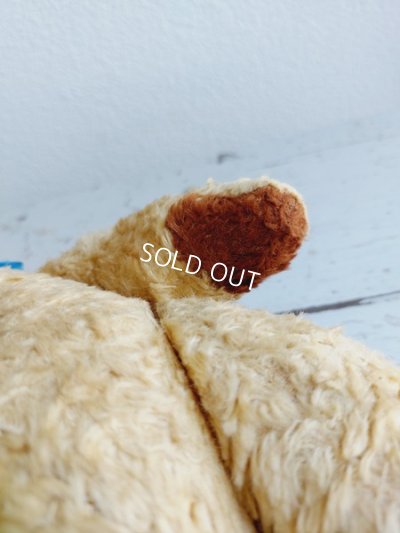 画像11: アンティークテディベア