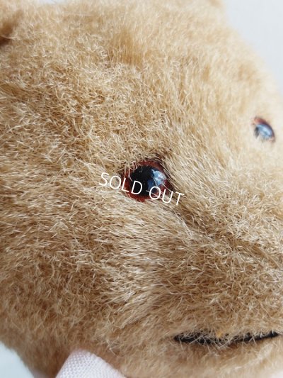 画像4: アンティークテディベア