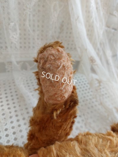 画像18: アンティークフレンチテディベア