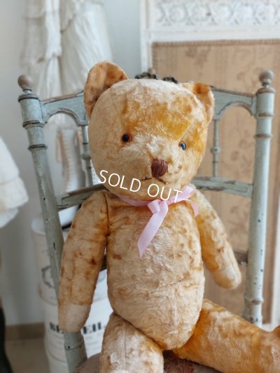 antiqueteddybear