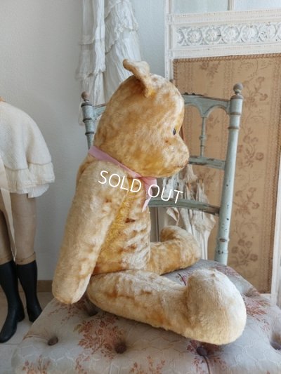 画像8: アンティークテディベア