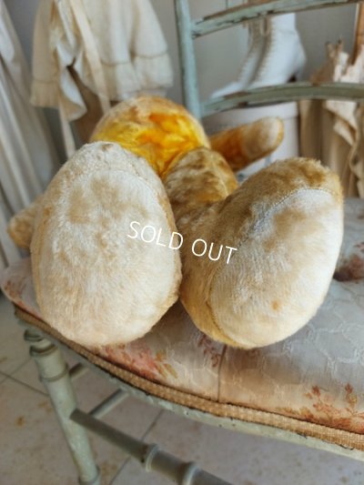 画像11: アンティークテディベア