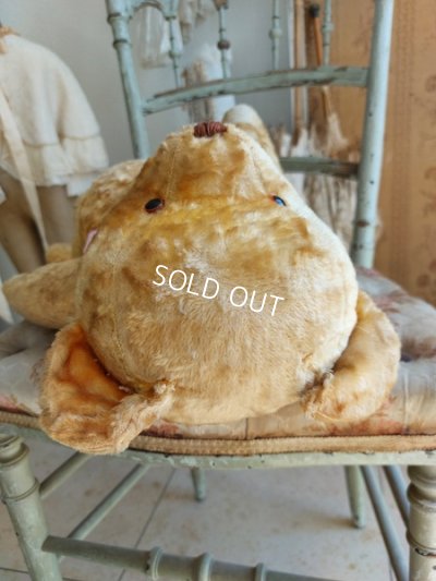 画像16: アンティークテディベア