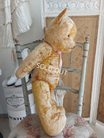 画像14: アンティークテディベア