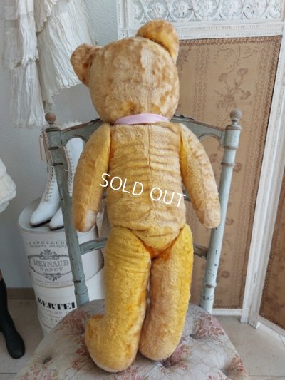 画像13: アンティークテディベア