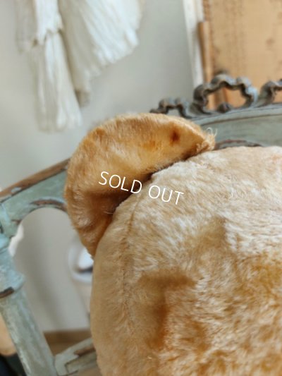 画像5: アンティークテディベア