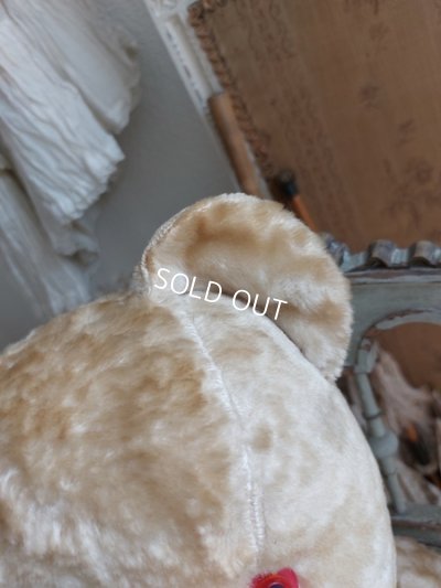 画像4: アンティーク大きなテディベア