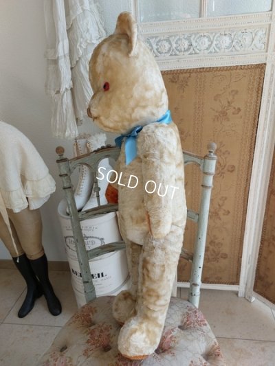 画像5: アンティーク大きなテディベア