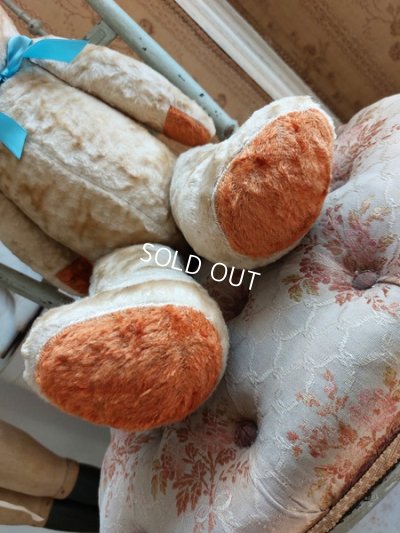 画像11: アンティーク大きなテディベア