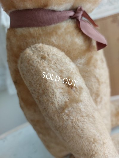 画像15: アンティークJPMテディベア