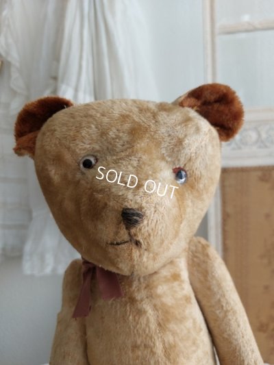 画像5: アンティークJPMテディベア