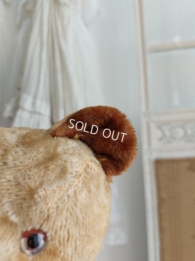 画像6: アンティークJPMテディベア