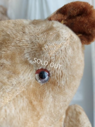 画像10: アンティークJPMテディベア