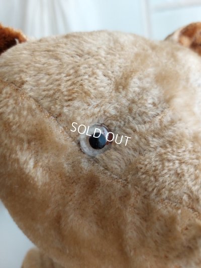 画像9: アンティークJPMテディベア