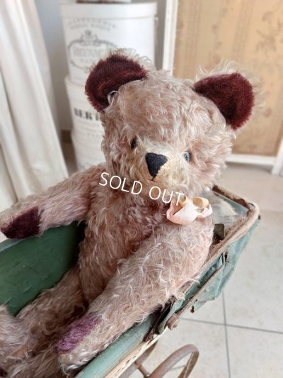 antiquefrenchteddybear