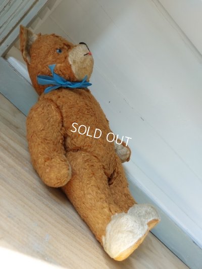 画像14: アンティークテディベア