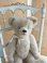 antiqueteddybear