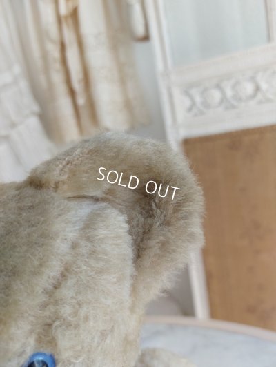 画像12: アンティークテディベア