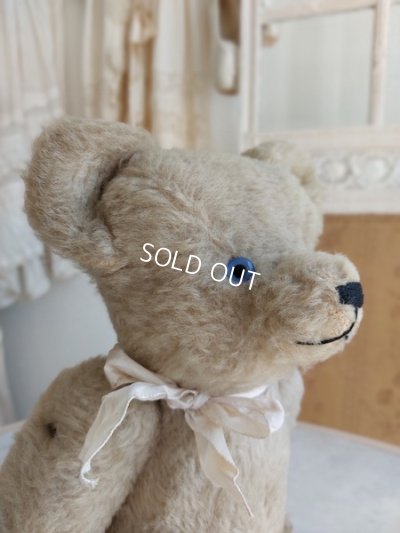 画像5: アンティークテディベア