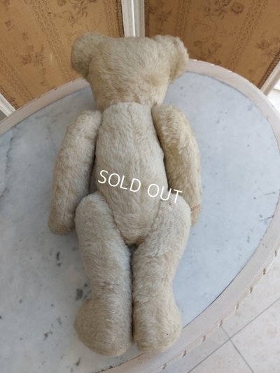 画像7: アンティークテディベア