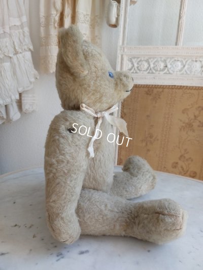 画像6: アンティークテディベア