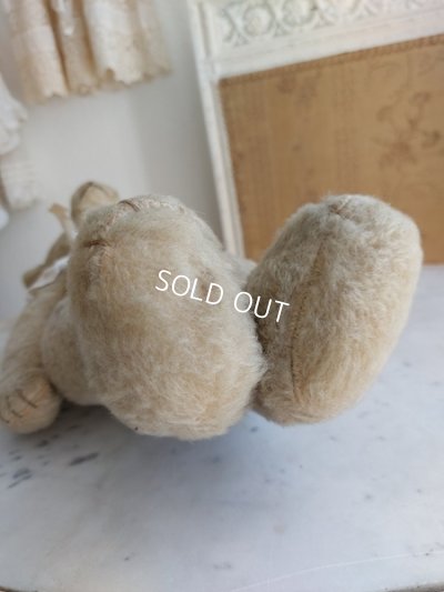 画像14: アンティークテディベア