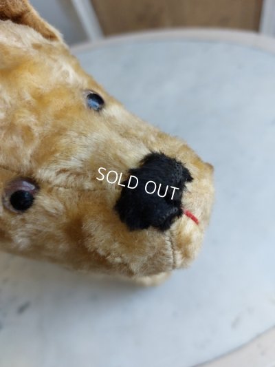 画像7: アンティークフランスの犬