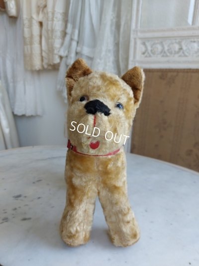 画像6: アンティークフランスの犬