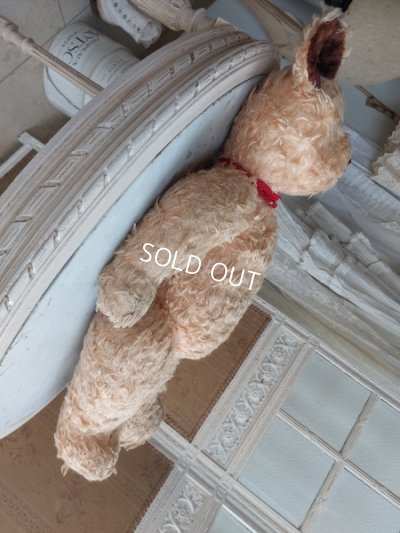 画像10: アンティークテディベア