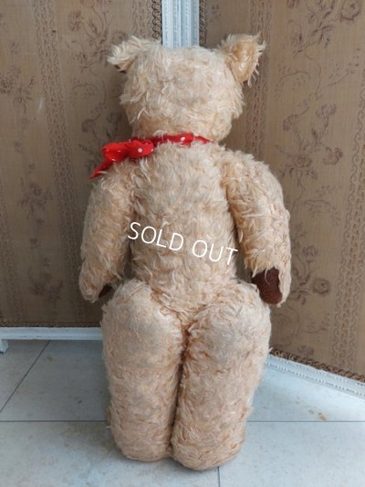 画像13: アンティークテディベア