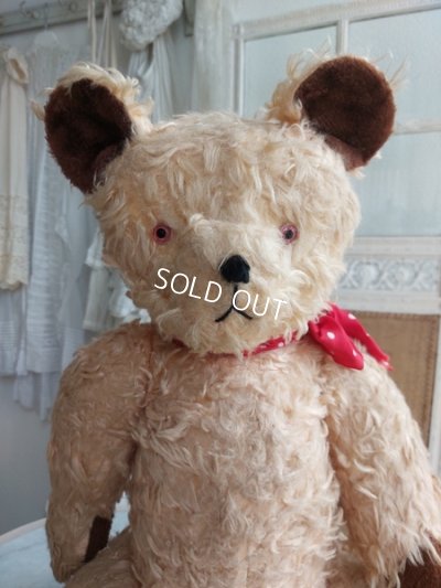 画像2: アンティークテディベア