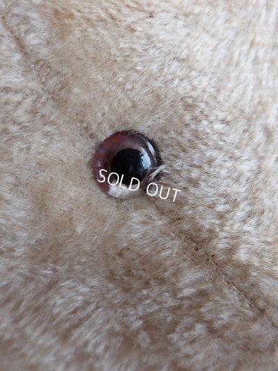 画像4: アンティークフレンチテディベア