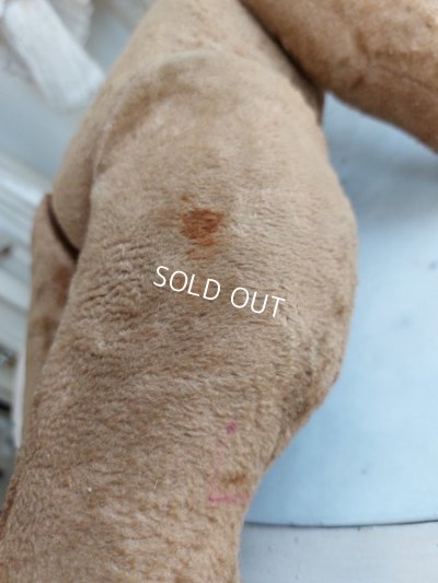 画像9: アンティークテディベア