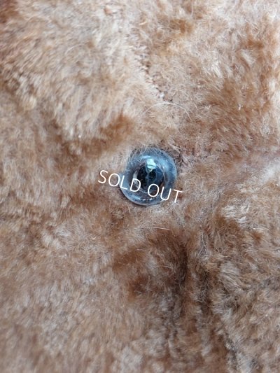 画像8: アンティークテディベア