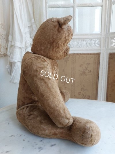 画像6: アンティークテディベア