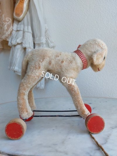 画像8: シュタイフ車輪付羊