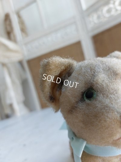 画像11: アンティーク猫