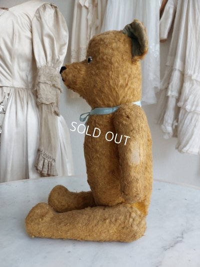 画像5: アンティークフレンチテディベア