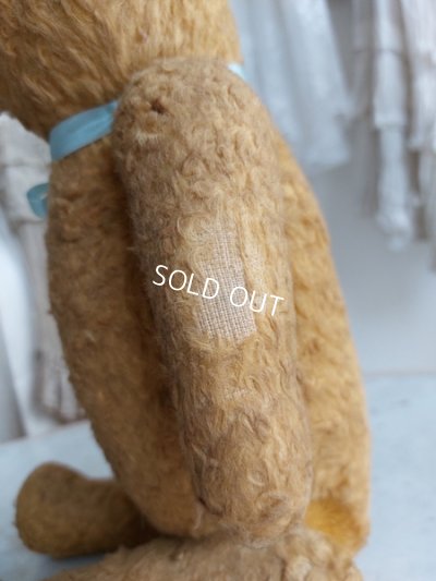 画像6: アンティークフレンチテディベア