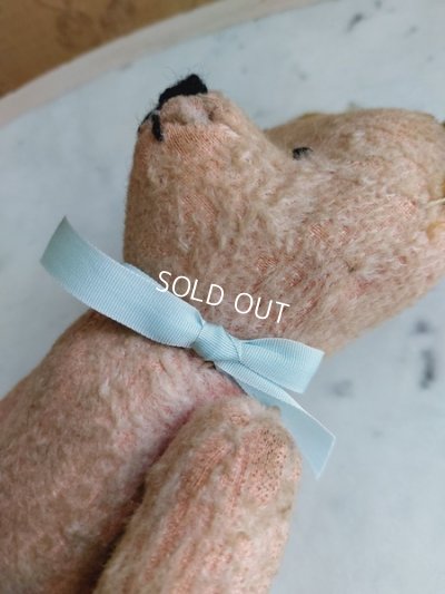 画像7: JPMピンクテディベア