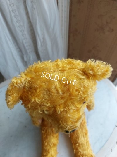 画像11: アンティークテディベア