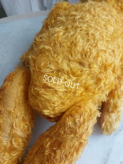 画像12: アンティークテディベア