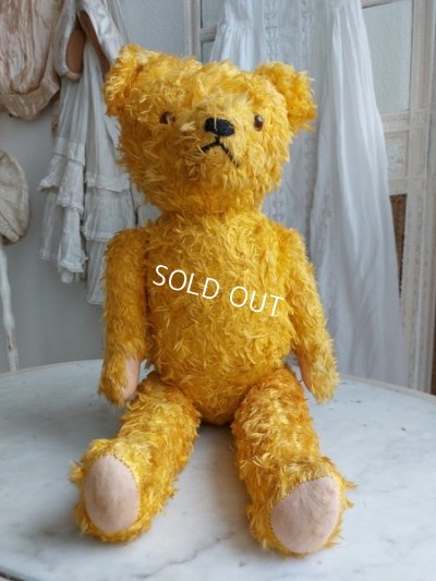 画像13: アンティークテディベア