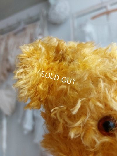 画像4: アンティークテディベア