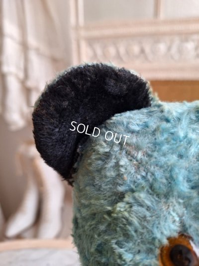 画像4: アンティークブルーテディベア